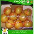 Frische Quitte Obst Mandarine Orange zum Verkauf